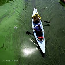 Azul Ambientalista recibe dos kayaks para investigación en el Lago de Maracaibo