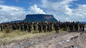 FANB mantiene alerta máxima para neutralizar amenazas que afecten la paz nacional