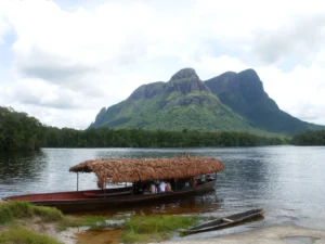 Gobierno impulsa acciones para preservar el Amazonas frente a la crisis climática