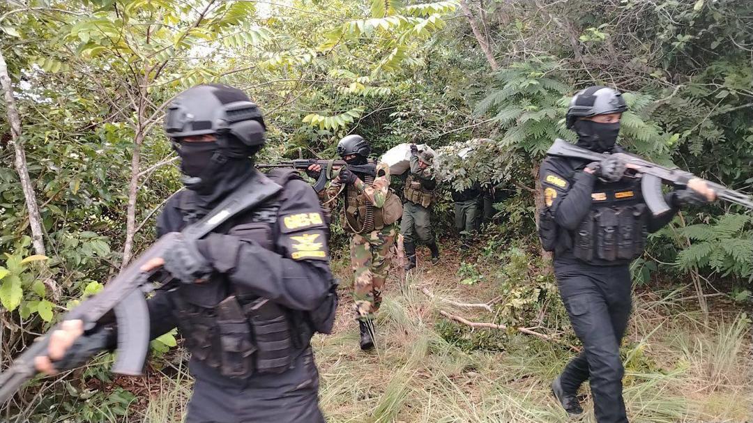 Incautados más de 250 kilogramos de marihuana en Amazonas