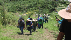 Venezuela recupera áreas degradadas con siembra de 74 mil árboles