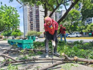 Alcaldía de Maracaibo a través de Sedepar intensifica recuperación de plazas en la ciudad