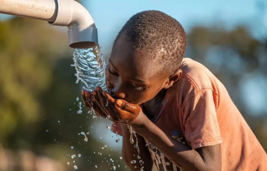 OMS alerta sobre aumento de muertes globales por cólera