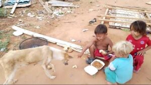 Tras la Explosión de la fábrica de fuegos artificiales Ecos de Esperanza en Medio del Dolor