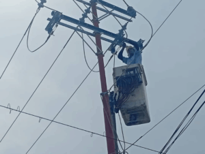 Más de 800 familias beneficiadas con mantenimiento de circuitos en la Costa Oriental del Lago