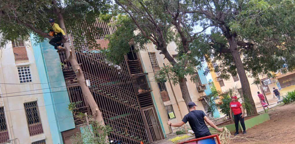 Dirección de Residencias y Urbanismos encabezó jornada de saneamiento en Francisco E. Bustamante