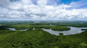 Delegados de 56 países debatirán en Venezuela sobre desafíos de la crisis climática