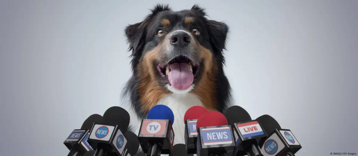 Científicos analizan si los perros podrían aprender a hablar