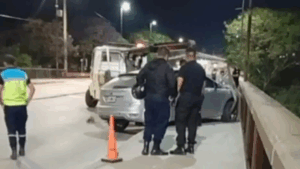 Mató a su madre, convivió con el cuerpo casi dos semanas y murió tras arrojarse de un puente