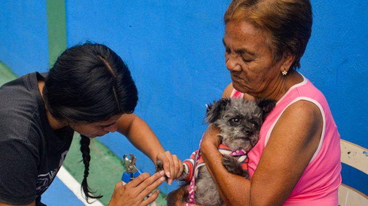 Misión Nevado Colón ejecutó exitosa jornada de medicina veterinaria integral en el Hospital Santa Bárbara