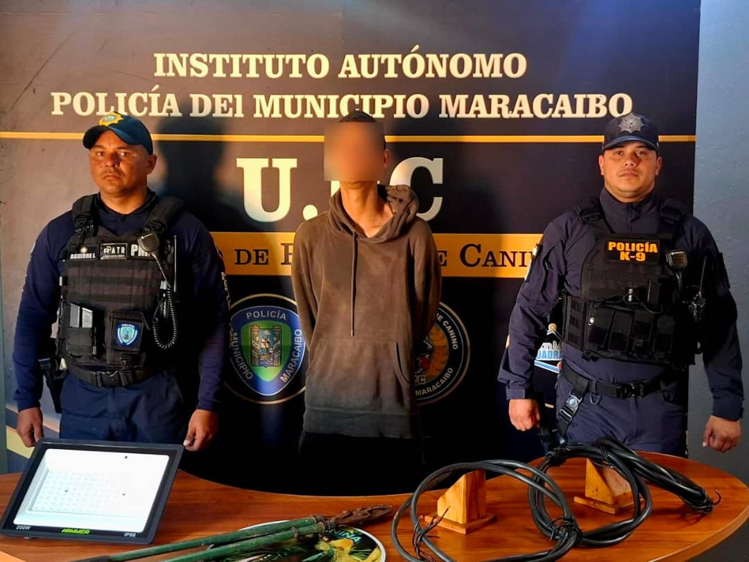 Detenido joven por hurtar material estratégico de la plaza San José Gregorio Hernández