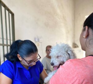 Consulta Popular del 23N viene con un Proyecto animalista para Santa Lucía