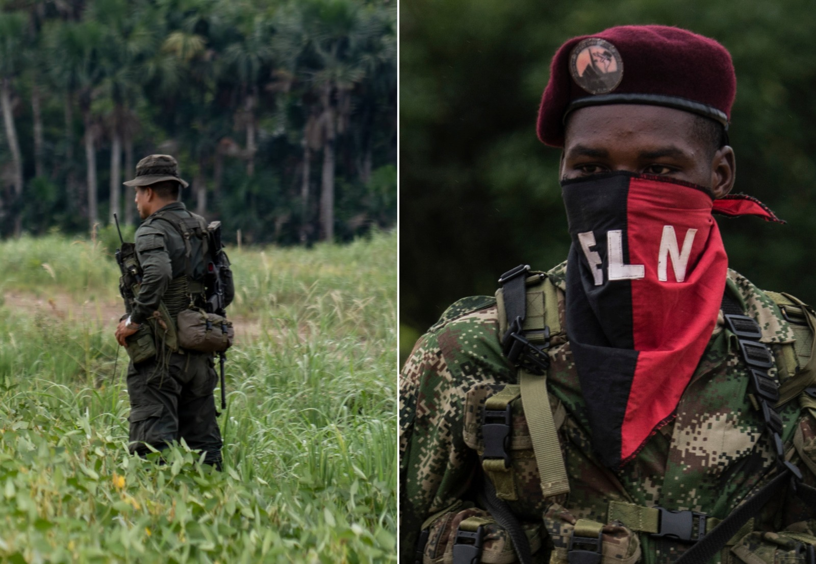 “Tibú en riesgo”: Defensoría colombiana lanzó Alerta Temprana por escalada de violencia en Catatumbo