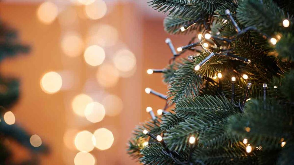 ¡Todo es posible en Navidad!: La Temporada Más Esperada del Año