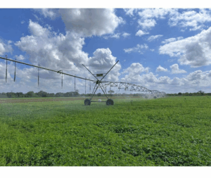 Gobernación del Zulia reactiva producción agropecuaria y afianza soberanía alimentaria en 2025