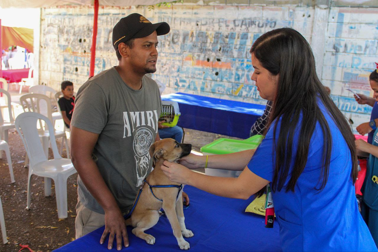 ¡En 3 meses! Instituto Municipal de Protección Animal supera las mil esterilizaciones y más de 5.000 atenciones