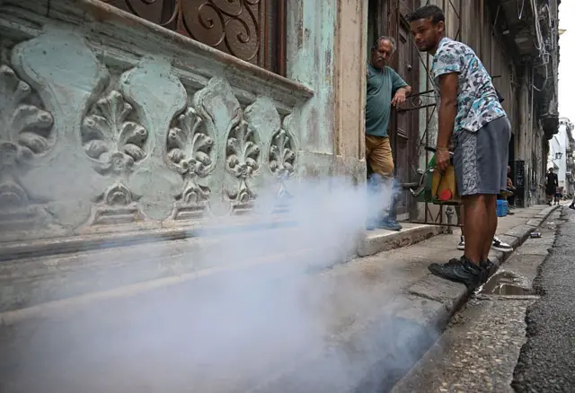 Miles de muertos en Cuba por dengue y chikungunya