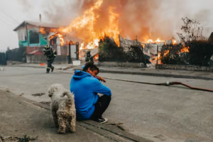 Chilenos dejan sus hogares huyendo de los incendios