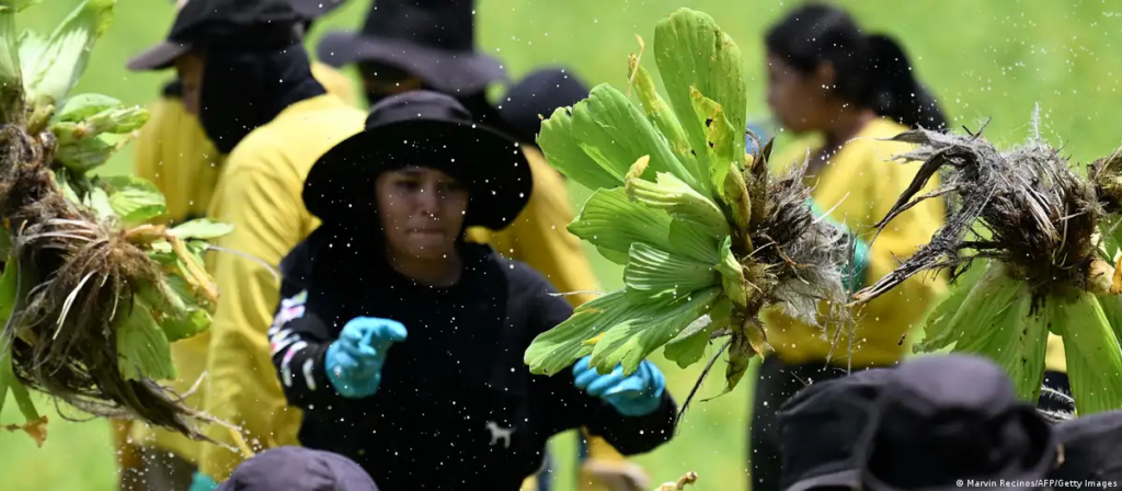 Salvadoreños dice que su economía ha desmejorado