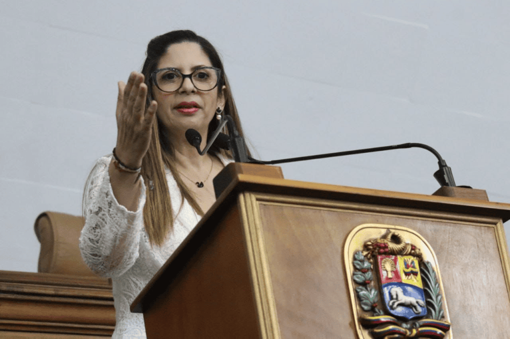 Nora Bracho: La amnistía debe ser un eje para la paz con memoria y garantías de no repetición