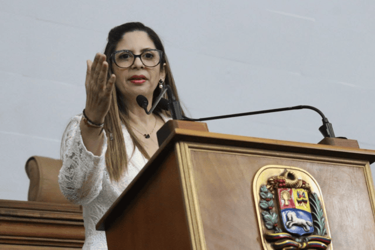 Nora Bracho: La amnistía debe ser un eje para la paz con memoria y garantías de no repetición