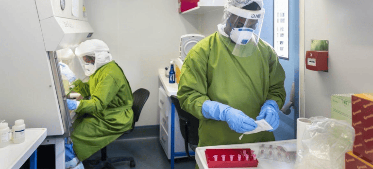 ¡INDIA! OMS considera “bajo” el riesgo de expansión del brote de virus Nipah