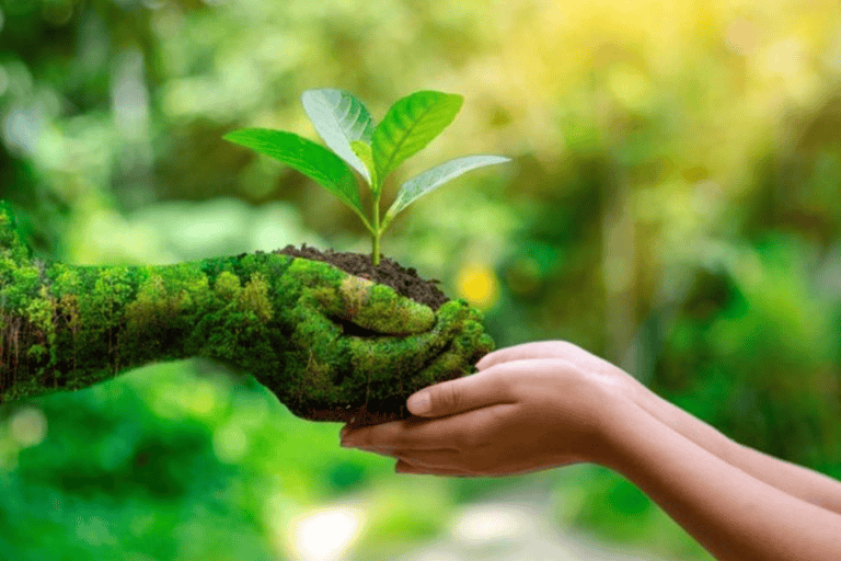 Muy a propósito del "Turismo Ecológico"