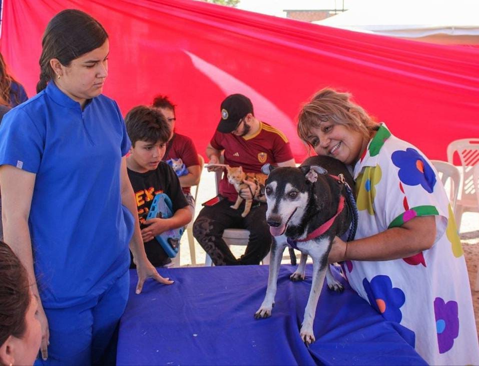 Jornada de vacunación para caninos y felinos realiza Alcaldía de Maracaibo