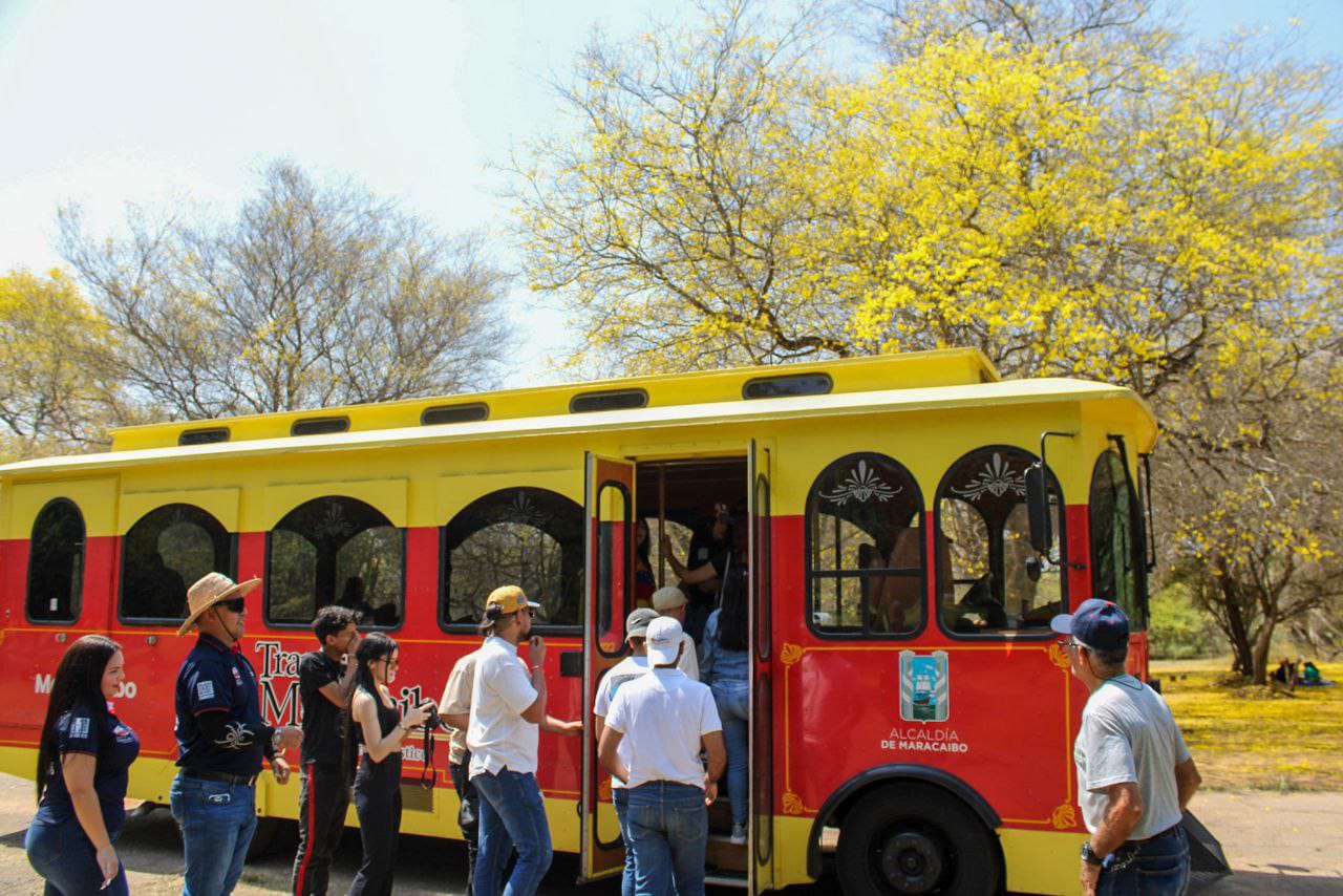 Ruta del Tranvia de Maracaibo visito floración de los curarires