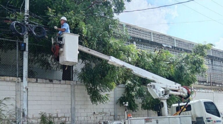 Labores de control de vegetación fortalecen servicio eléctrico