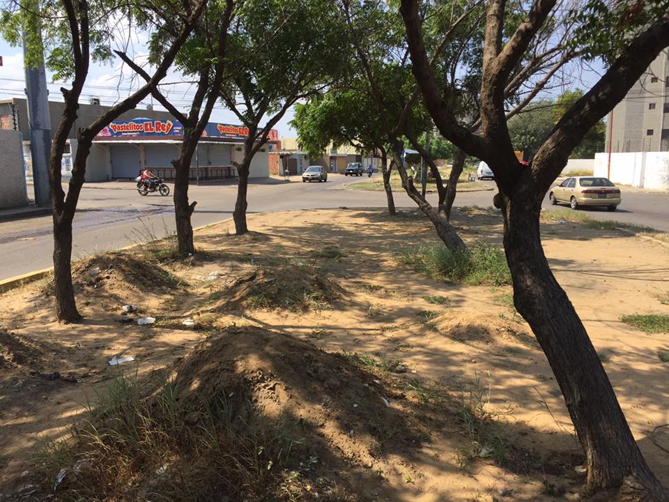 Gobernador Caldera visitará Ciudadela Faria