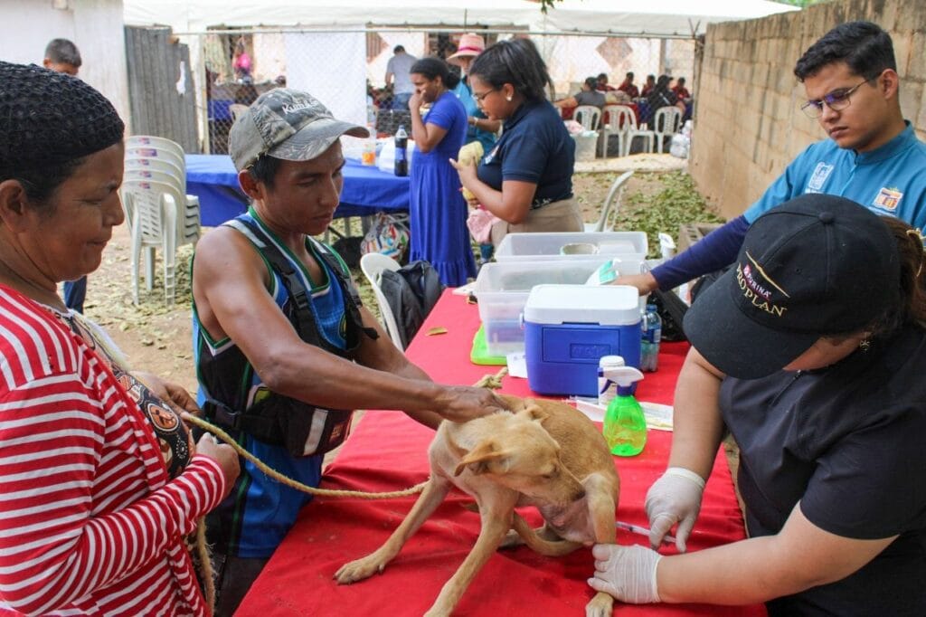 ¡Una dosis de prevención! Vacunación antirrábica de mascotas llega a parroquia Juana de Ávila