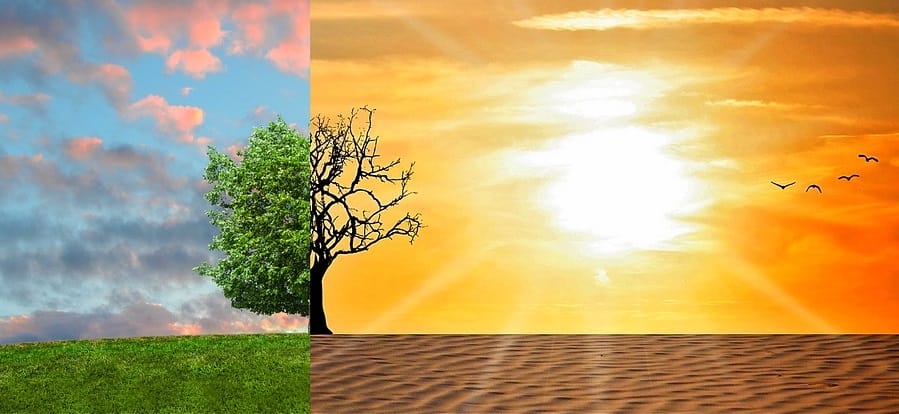 El cambio climático podría reducir a la mitad el potencial de crecimiento del PIB mundial