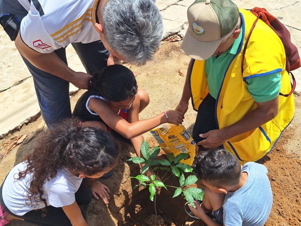 Impulsan creación de bosques comunitarios para mitigar el calor en Maracaibo