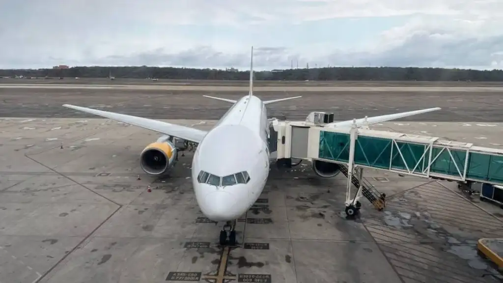 Nuevo vuelo con connacionales desde EEUU llega al país