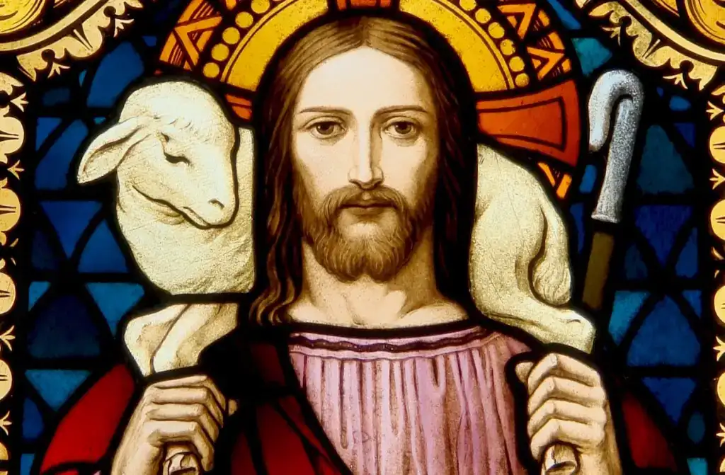 Aquí el significado del Domingo del Buen Pastor