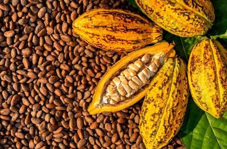 Feria Artesanal de Café, Cocuy, Cacao y Miel destacan por su aporte económico al país