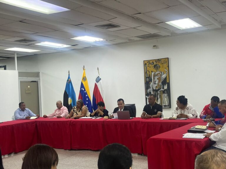 Cámara Municipal aprueba en primera discusión la reforma total de la creación del IMA