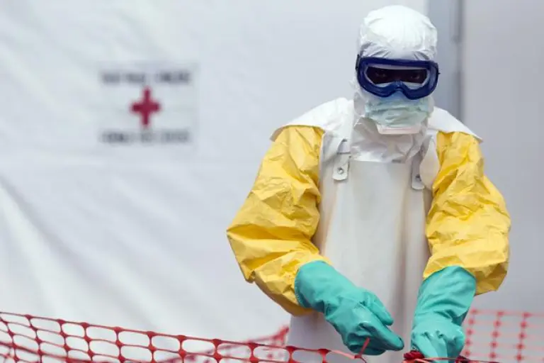 La salud es un concepto global: Hantavirus, ébola y desigualdades norte-sur