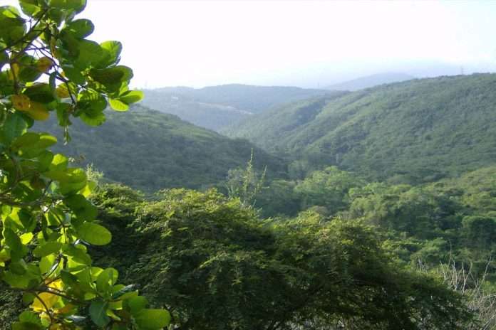Delcy Rodríguez aprueba ampliación del Parque Nacional Terepaima