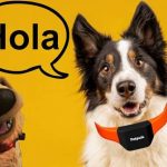 Una empresa china crea un collar con IA que convierte los sonidos de perros y gatos al idioma humano