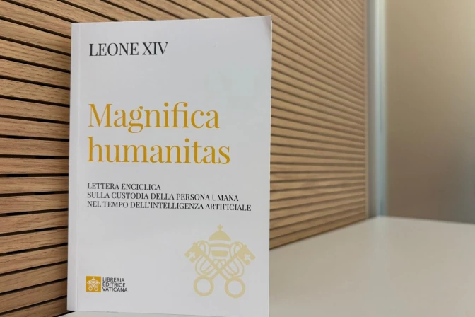 Lea aquí la encíclica “Magnifica Humanitas” del Papa León XIV