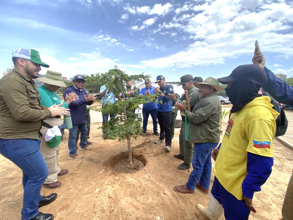Inicia Plan de Reforestación Chuquisaca en el Zulia con el establecimiento de mil árboles autóctonos