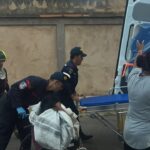 PNB despliega operativo de emergencia tras ataque de abejas africanas