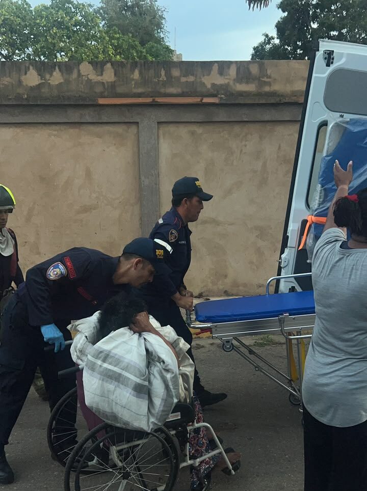 PNB despliega operativo de emergencia tras ataque de abejas africanas