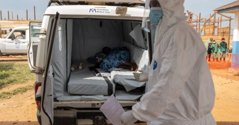 La OMS publica directrices integrales sobre la enfermedad por filovirus, incluidos el ébola y la enfermedad por el virus de Marburgo
