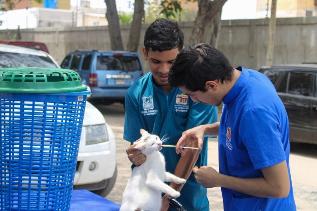 Alcaldía de Maracaibo fortalece programa de adopción y atención animal