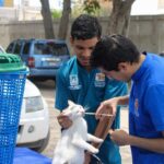 Alcaldía de Maracaibo fortalece programa de adopción y atención animal