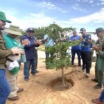 ¡Avalan Concejo Municipal y el IMA! Maracaibo impulsa una nueva ordenanza para fortalecer la arborización urbana con enfoque ambiental