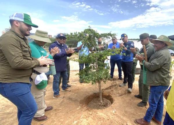 ¡Avalan Concejo Municipal y el IMA! Maracaibo impulsa una nueva ordenanza para fortalecer la arborización urbana con enfoque ambiental